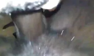 ਈਬੋਨੀ ਰਾਣੀ ਮੇਰੇ ਡਿਕ  ...